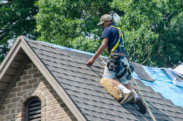 Best Gutter Installation and Roofing  in Clearfield, PA